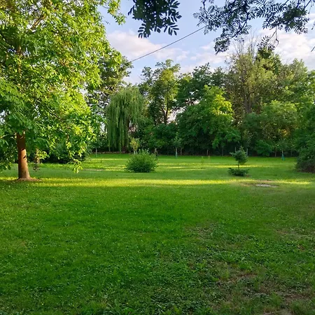 Slupeczka * Okoleniec