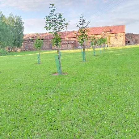 Slupeczka * Okoleniec