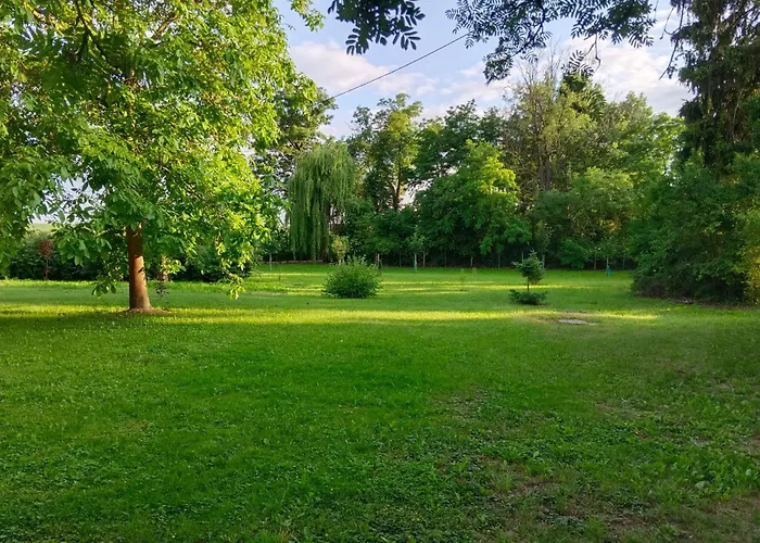 Slupeczka * Okoleniec